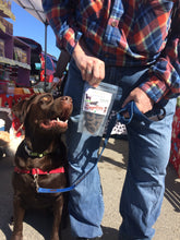 Chocolate Lab, TBone, a Bageltov model, poses next to his photo on the package.